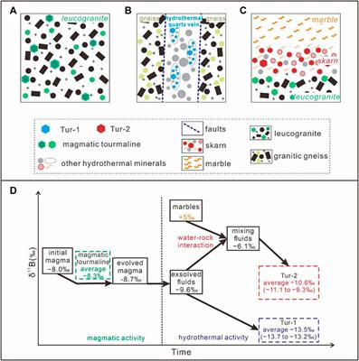 Hydrothermal fluid evolution in the Cuonadong Sn–W–Be polymetallic deposit, southern Tibet: indicated by the in–situ element and boron isotope compositions of tourmaline